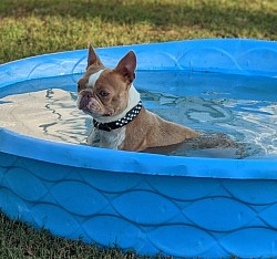 Swimming