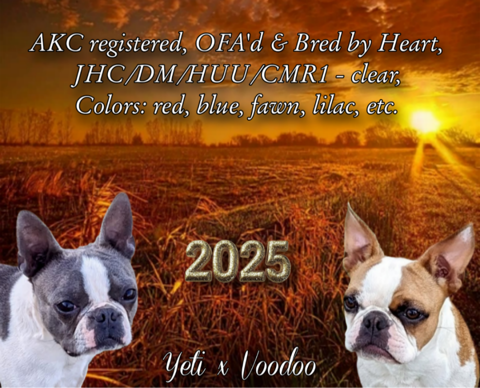Planned for November 2025