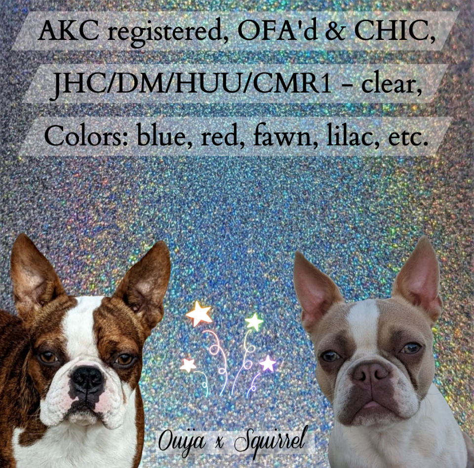 Planned for January 2026