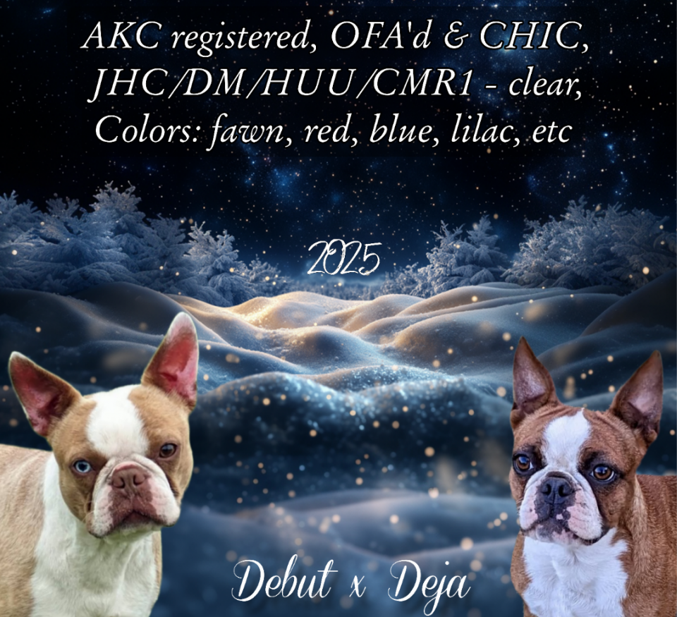 Planned for December 2025