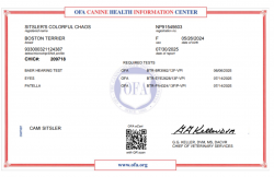 Health testing