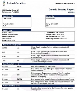 Health testing