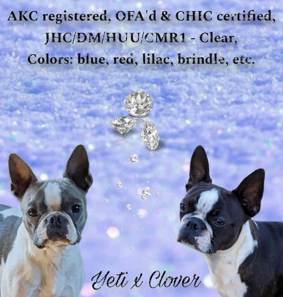 Planned for January 2026