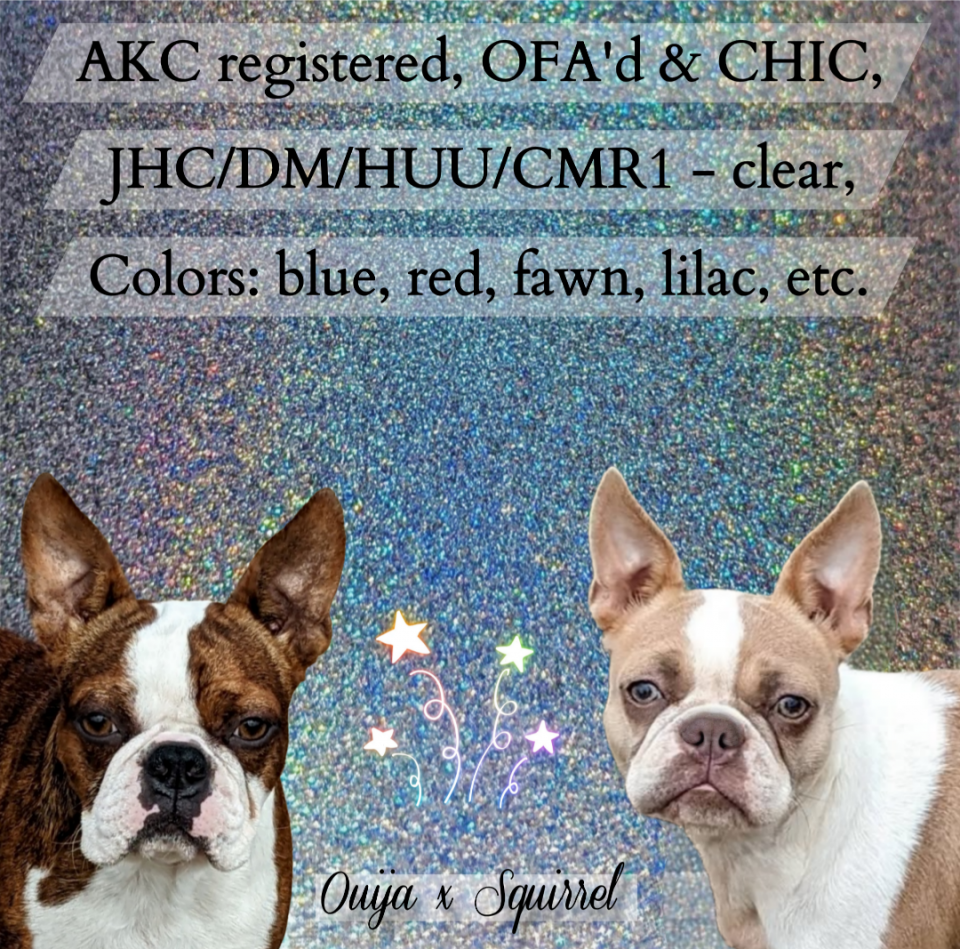 Planned for January 2026