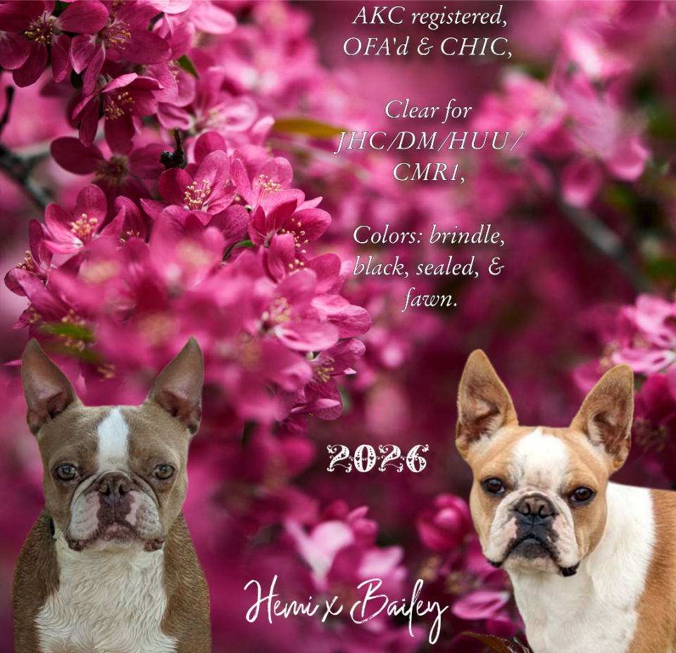 Planned for summer 2026