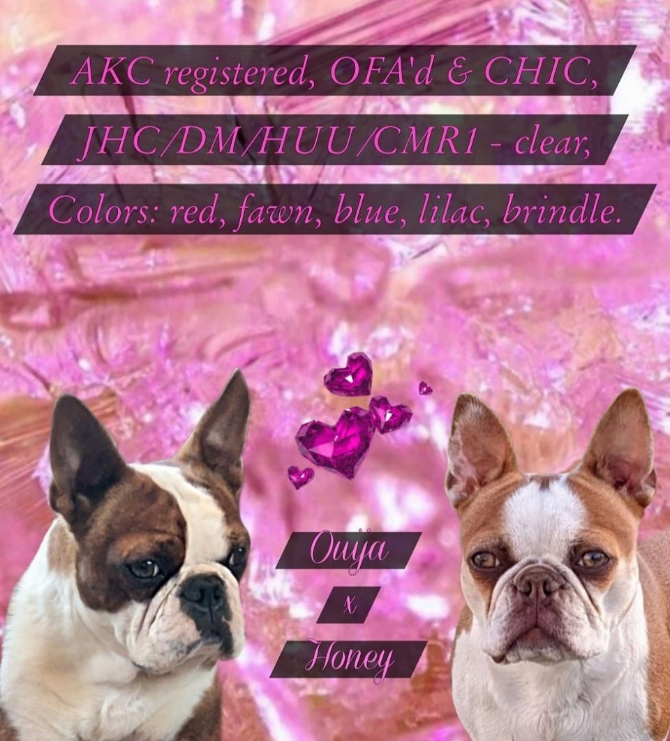 Planned for spring 2026