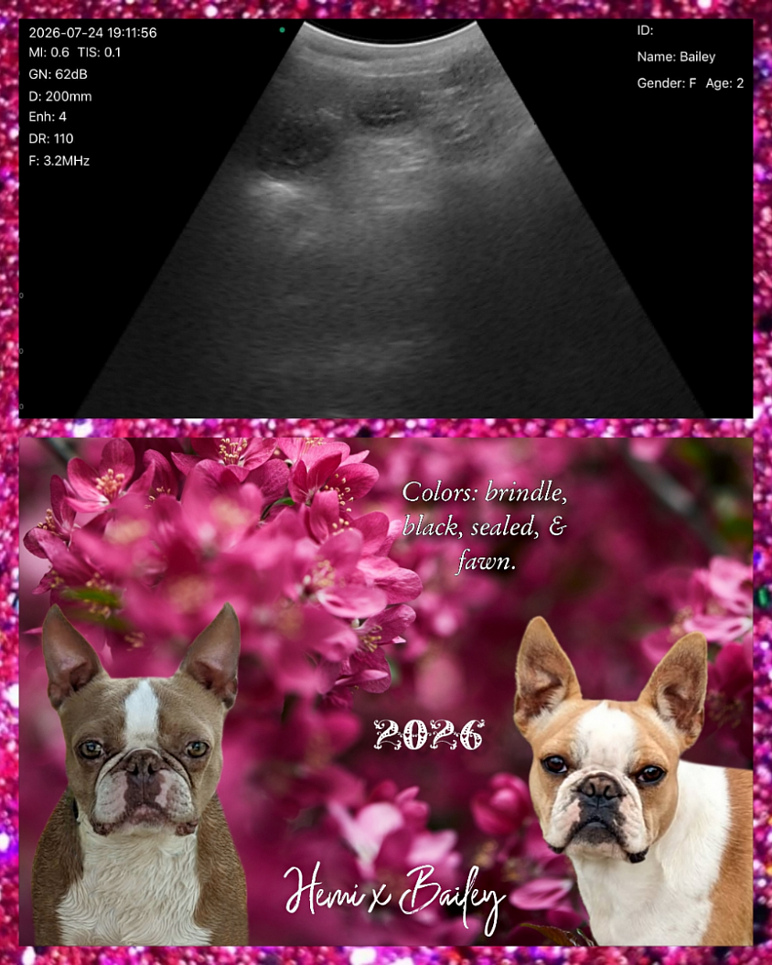 (pregnancy confirmed)